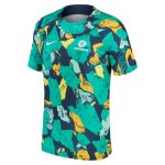 Shop australia national team nike 202223 pre-match top – greenyellow – Mexico Football Shirts & World Cup Jerseys