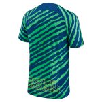 Shop brazil national team nike 202223 pre-match top – bluegreen – Mexico Football Shirts & World Cup Jerseys