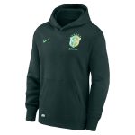 Shop brazil national team nike youth club fleece pullover hoodie – green – Mexico Football Shirts & World Cup Jerseys