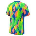 Shop brazil women8217s national team nike 2025 academy pro pre-match performance top – blue – Mexico Football Shirts & World Cup Jerseys