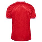 Shop denmark national team 2024 home replica jersey – red – Mexico Football Shirts & World Cup Jerseys