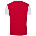 Shop denmark national team block t-shirt – red – Mexico Football Shirts & World Cup Jerseys