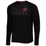 Shop denmark national team fan raglan long sleeve t-shirt – black – Mexico Football Shirts & World Cup Jerseys