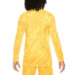 Shop france national team nike youth 2024 goalkeeper replica stadium long sleeve jersey – yellow – Mexico Football Shirts & World Cup Jerseys