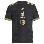 Shop guillermo ochoa mexico national team adidas youth 2025 third authentic player jersey – black – Mexico Football Shirts & World Cup Jerseys