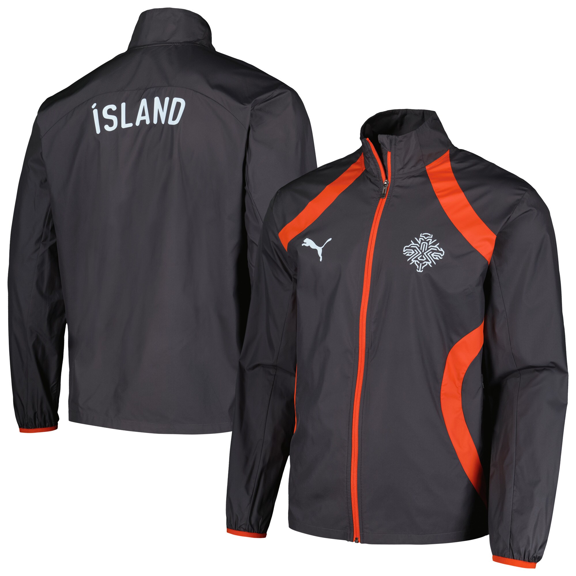 Shop iceland national team puma 2024 pre-match full-zip hoodie jacket – charcoal – Mexico Football Shirts & World Cup Jerseys
