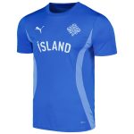 Shop iceland national team puma 2024 pre-match jersey – blue – Mexico Football Shirts & World Cup Jerseys