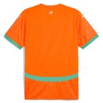 Shop ivory coast national team puma 2025 home replica jersey – orange – Mexico Football Shirts & World Cup Jerseys