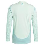 Shop mexico national team adidas 2024 away replica long sleeve jersey – green – Mexico Football Shirts & World Cup Jerseys