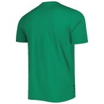 Shop mexico national team adidas dna graphic t-shirt – green – Mexico Football Shirts & World Cup Jerseys