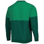 Shop mexico national team adidas dna pullover sweatshirt – green – Mexico Football Shirts & World Cup Jerseys