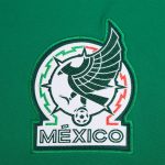 Shop mexico national team adidas dna pullover sweatshirt – green – Mexico Football Shirts & World Cup Jerseys