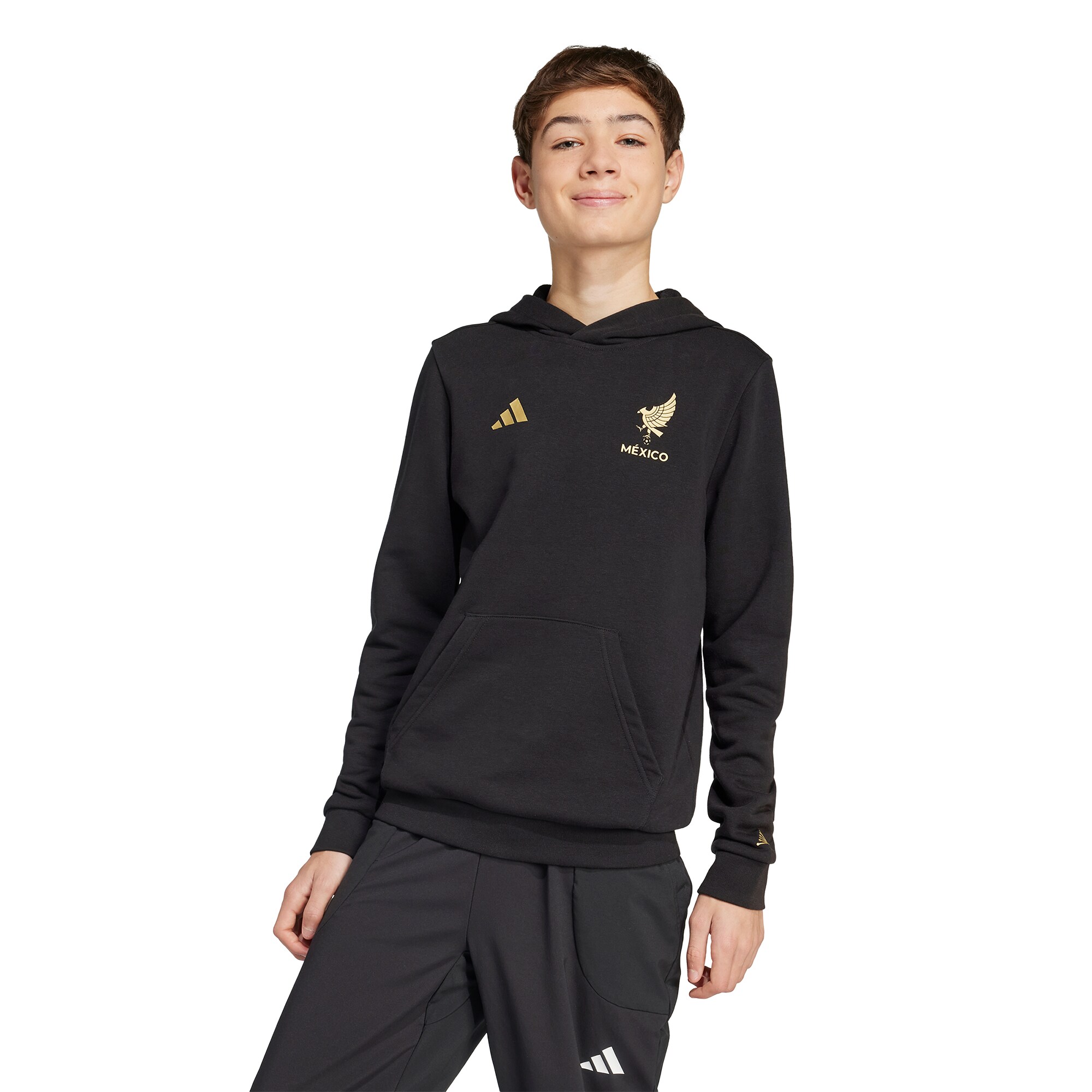 Shop mexico national team adidas youth 2025 third jersey dna pullover hoodie – black – Mexico Football Shirts & World Cup Jerseys