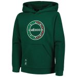Shop mexico national team adidas youth pullover hoodie – green – Mexico Football Shirts & World Cup Jerseys