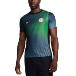 Shop nigeria national team nike 2024 academy pro pre-match top – gray – Mexico Football Shirts & World Cup Jerseys
