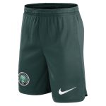 Shop nigeria national team nike home performance stadium shorts – green – Mexico Football Shirts & World Cup Jerseys