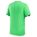 Shop nigeria women8217s national team nike 2023 home stadium replica jersey – green – Mexico Football Shirts & World Cup Jerseys