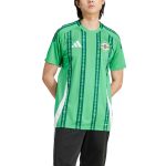 Shop northern ireland national team adidas 2024 home replica jersey – green – Mexico Football Shirts & World Cup Jerseys