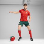 Shop portugal national team puma 2025 home replica shorts – green – Mexico Football Shirts & World Cup Jerseys