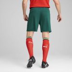 Shop portugal national team puma 2025 home replica shorts – green – Mexico Football Shirts & World Cup Jerseys