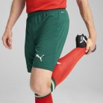Shop portugal national team puma 2025 home replica shorts – green – Mexico Football Shirts & World Cup Jerseys