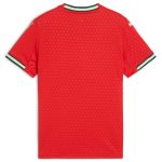 Shop portugal national team puma youth 2025 home replica jersey – red – Mexico Football Shirts & World Cup Jerseys