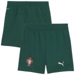 Shop portugal national team puma youth replica shorts – green – Mexico Football Shirts & World Cup Jerseys