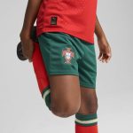 Shop portugal national team puma youth replica shorts – green – Mexico Football Shirts & World Cup Jerseys