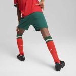 Shop portugal national team puma youth replica shorts – green – Mexico Football Shirts & World Cup Jerseys