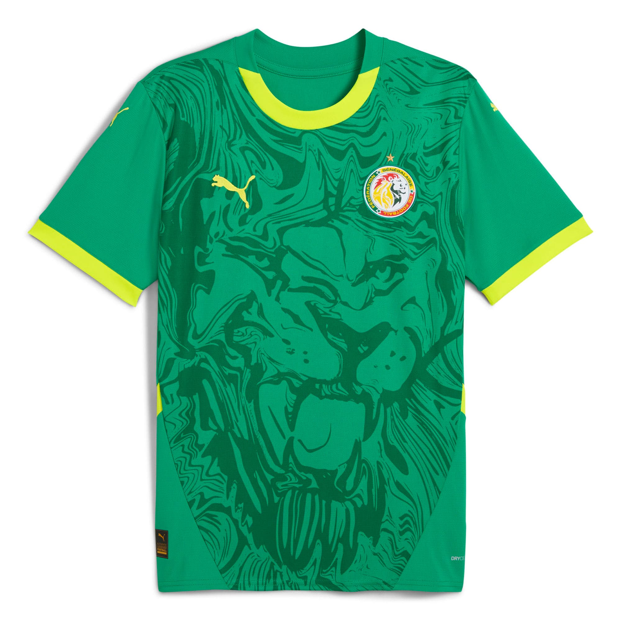 Shop senegal national team puma 2025 away replica jersey – green – Mexico Football Shirts & World Cup Jerseys