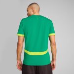 Shop senegal national team puma 2025 away replica jersey – green – Mexico Football Shirts & World Cup Jerseys