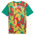 Shop senegal national team puma 2025 pre-match jersey – green – Mexico Football Shirts & World Cup Jerseys